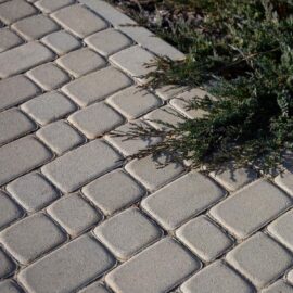 Тротуарна плитка Львівська